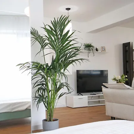 Nicolae Caramfil Apartment