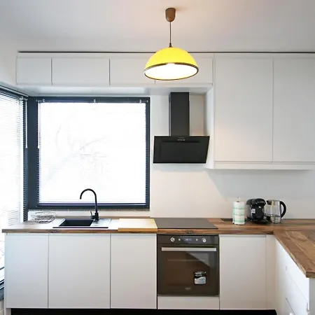 Nicolae Caramfil Bucareste