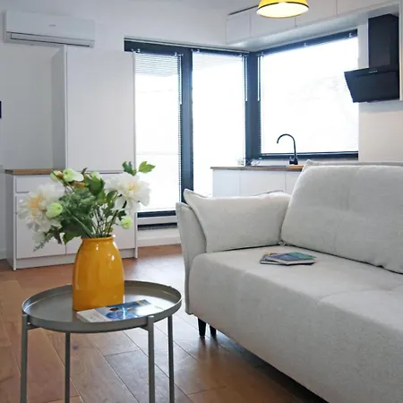 Nicolae Caramfil Apartment Bucharest