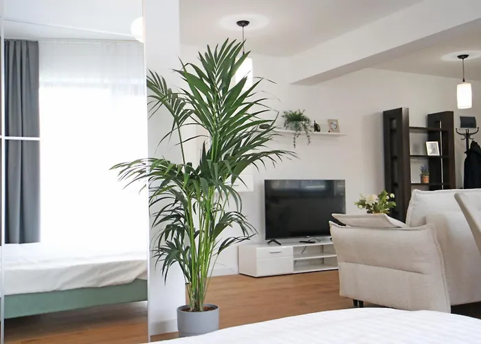 Nicolae Caramfil Apartment